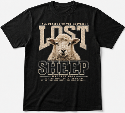 Lost Sheep